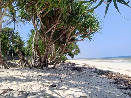 12 Acres of Front Row Beach Plot in Kwale Is For Sale image 4