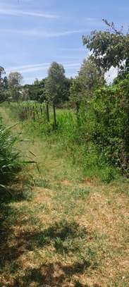 Residential Land at Karuri image 17