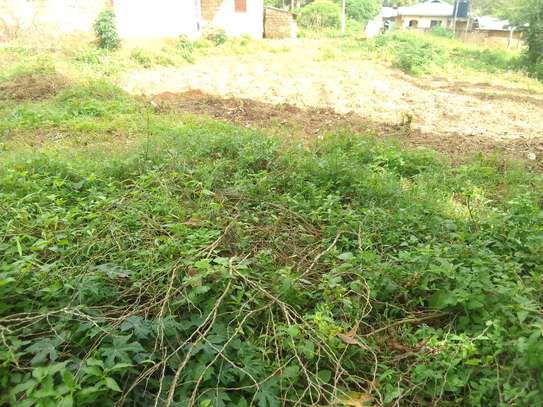 Plot for sale near Kwale school for the mentally challenged image 4