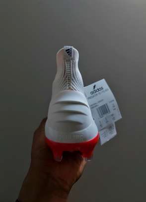 Predator 19.1 25 new arrivals year