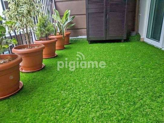 grass carpet now available image 3