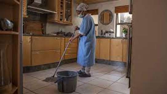 Domestic House Help Services -Cleaning & Domestic Services image 2