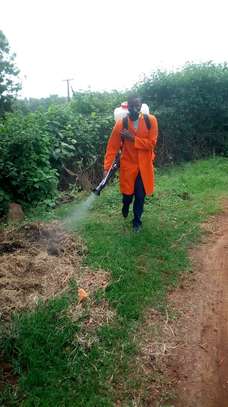 Mosquitoes Control|Termites Control Services Ongata Rongai image 5