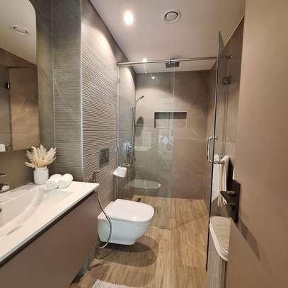 Furnished Studio Apartment with En Suite at Red Hill Road image 28