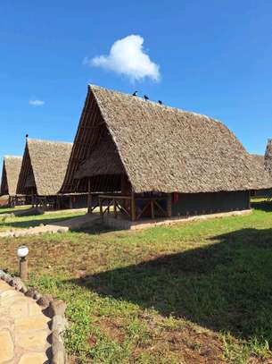 Makuti roofing construction image 3