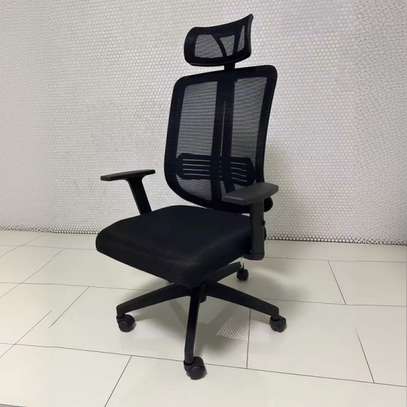 Orthopedic Executive office chair image 2