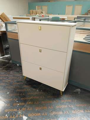 Flipping Shoe Cabinet Racks image 5