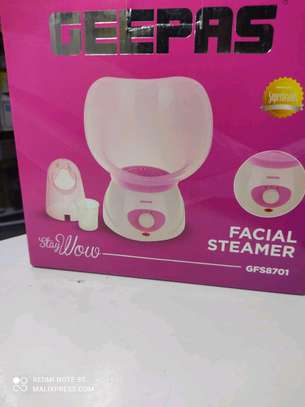 Facial Steamer with face and nose mask image 1