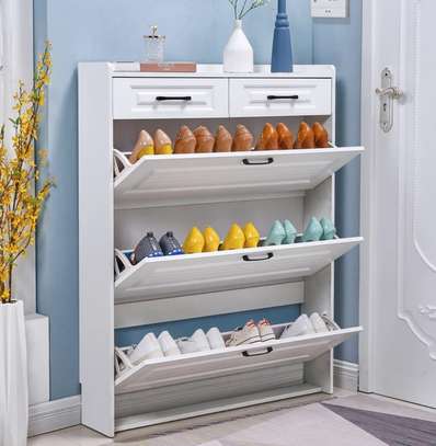 Office Cabinet : Modern Home Shoe Cabinet Storage image 2