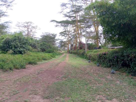 1 Acre Land For Sale in Elementaita , near Kikopey image 4