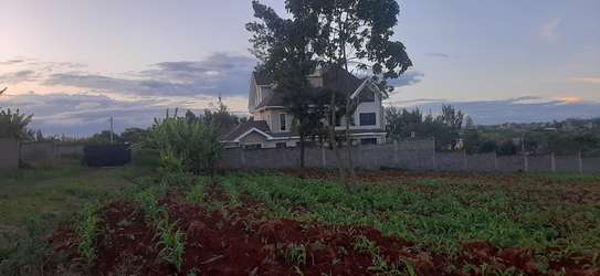 Residential Land at Adjacent To Muhasibu Estate image 1