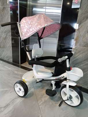 Push Tricycle with Canopy image 3