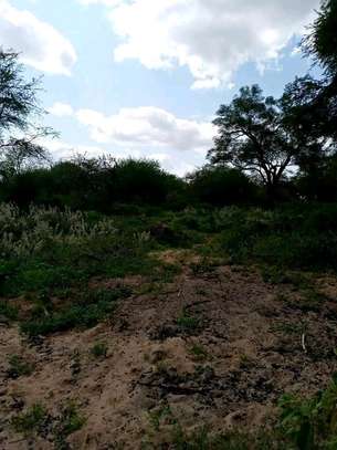 720 acres of virgin along the river kibwezi Makueni County image 6