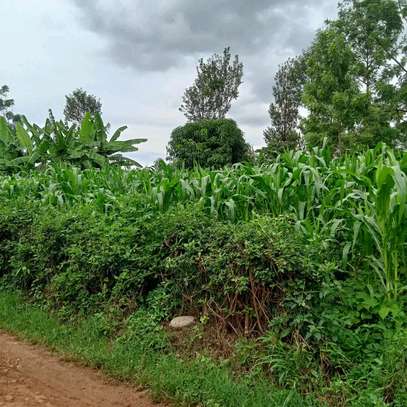 40*110 ft plots for sale at Kenol along Kagia road image 2