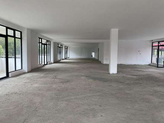 Commercial Property with Backup Generator in Karen image 8