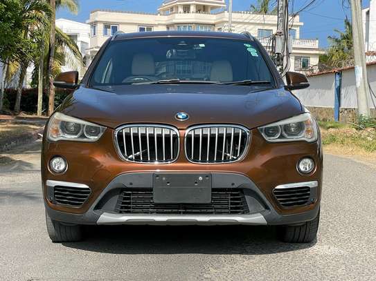 BMW X1 image 1