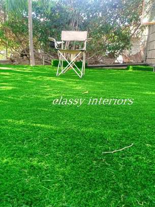 Beautiful grass carpets(;:) image 3
