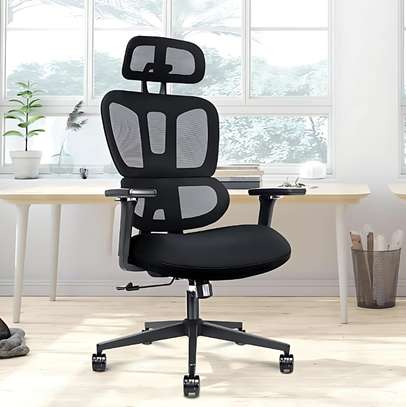 Office Chair: Executive Proper Orthopedic Posture Chair image 1