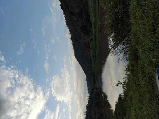 Errand services image 1