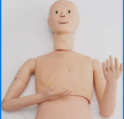 Medical CPR Mannequins for First Aid Training image 1