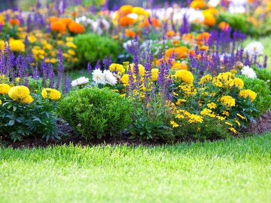 Gardening Maintenance Services - Book a Gardener In Minutes image 12