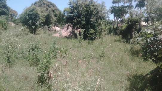 4 acres vacant land, Mapunga Witu, coast image 2