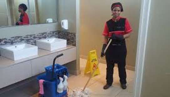 24/7 Home Cleaning Services |Office Cleaning | Housekeeping Services | Carpet & Upholstery Cleaning Services | Landscaping and Gardening Services | Swimming Pool Cleaning & Maintenance Services | Nannies & Domestic Workers.Call Us Now. image 3
