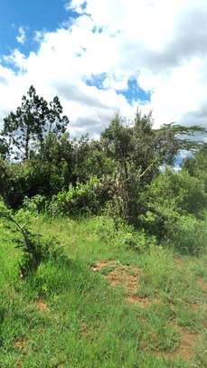 Ideally Located 1/4 Acre Plots With Forest Mt Kenya View image 5