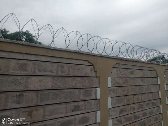 730mm 450mm Barbed wire & Razor wire supply  in Kenya image 2