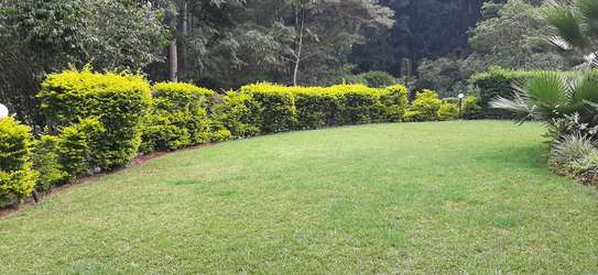 5 Bed Townhouse with En Suite in Rosslyn image 17