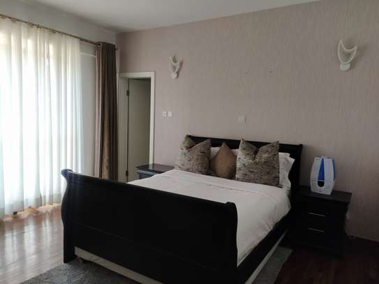 Serviced 3 Bed Apartment with En Suite at Othaya Road image 29