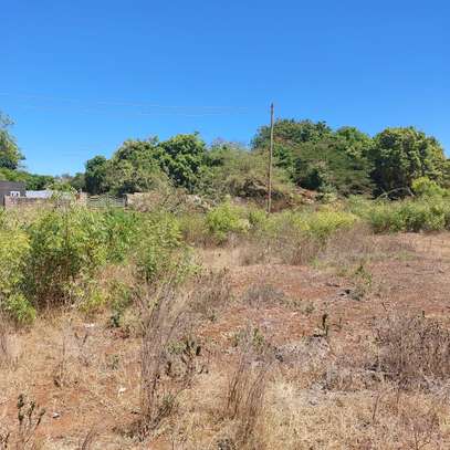 4 acres of land for sale at kokotoni Tezo image 3