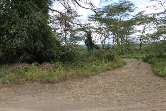 1/4 Acre Land For sale in Nakuru, Miti Mingi image 7