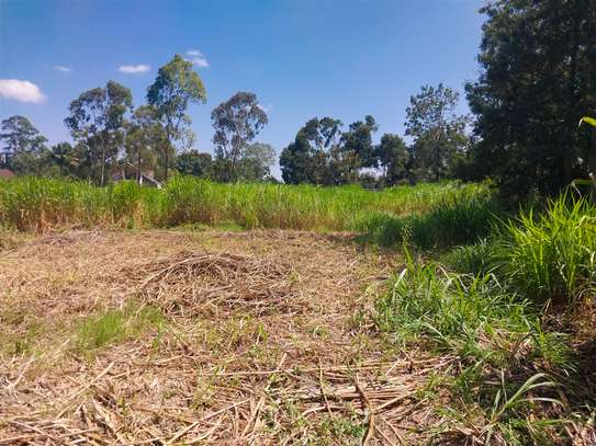 0.5 ac Land in Ridgeways image 3