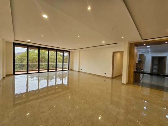 4 Bed Apartment with En Suite in Spring Valley image 1