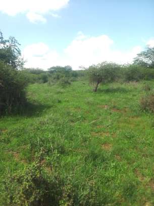 Over 500 Acres Land Available For Lease in Kiboko Makindu image 2