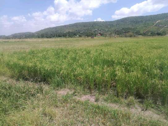 3 ACRES FOR RICE FARMING - MURANG'A image 2