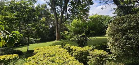 Land in Karen image 3