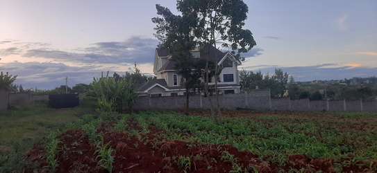 Residential Land at Adjacent To Muhasibu Estate image 10