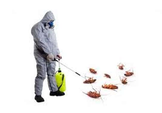 Fumigation Solutions for Cockroaches, Termites Mosquitoes image 8