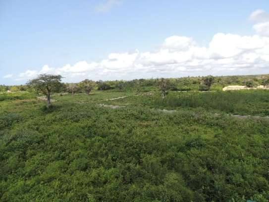1,012 m² Residential Land at Diani Beach Road image 2