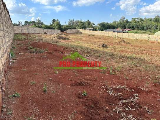 0.46 ha Residential Land at Ondiri image 9
