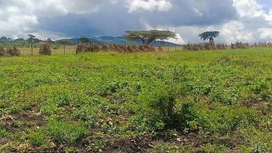 Land in Kiserian image 9