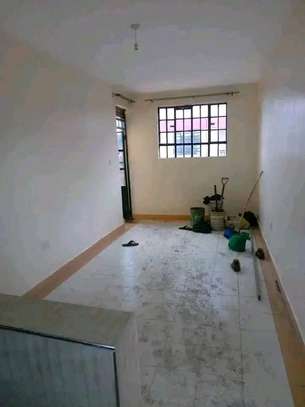 Kikuyu town one bedroom apartment to let image 4