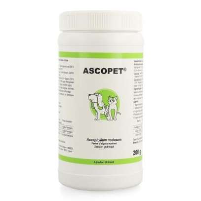Ascopet cat & dog Powder 200g For Sale image 1