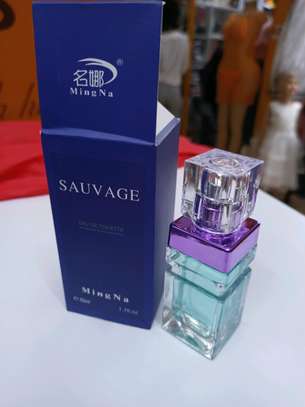 Sauvage EAU DE TOILETTE perfume for men. image 1