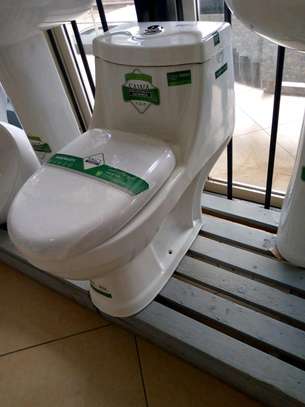Sawa toilets image 1
