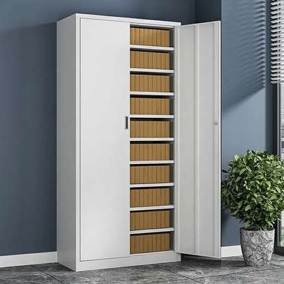 Office Cabinet: 2-Door Metallic Office Cabinet image 5
