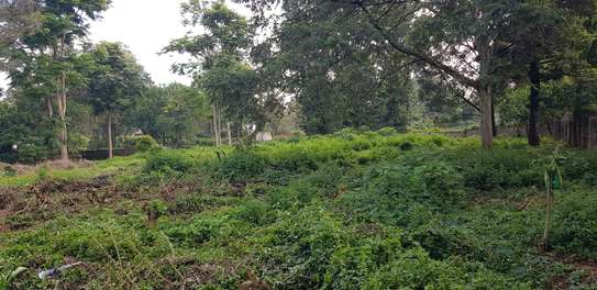 Residential Land at Shanzu Road image 4
