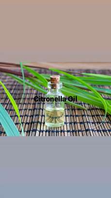 Citronella Oil image 2